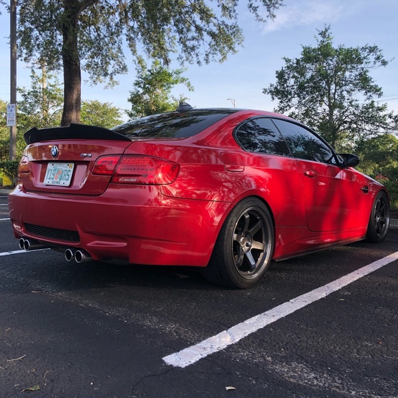 Meet your Posher, Joey - Picture 1 of 1